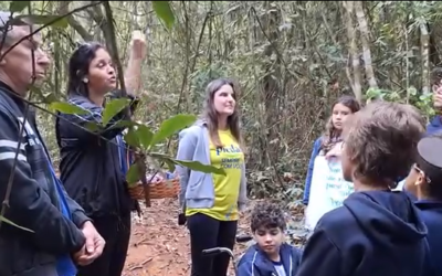 Projeto Ecoarte Piedade: promovendo a interação entre os alunos e o contato direto com a natureza!