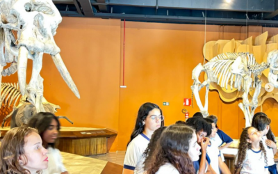 🦕✨ Conhecer o passado para entender o presente e transformar o futuro!