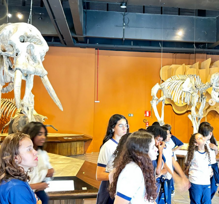 🦕✨ Conhecer o passado para entender o presente e transformar o futuro!