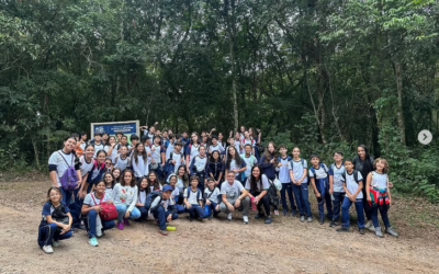 🌿✨ Conexão com a natureza e aprendizado ao ar livre! ✨🌿