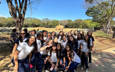📚🐾 Aprendendo na Prática! 🐾📚