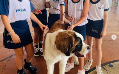 🐾✨ Um dia de fé, carinho e muita fofura no Colégio Piedade!