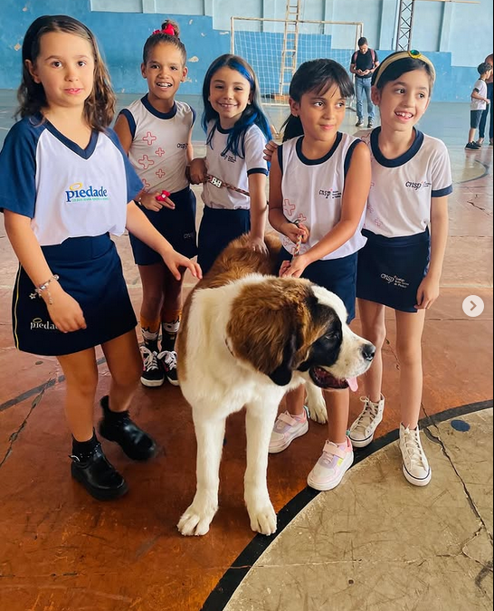 🐾✨ Um dia de fé, carinho e muita fofura no Colégio Piedade!